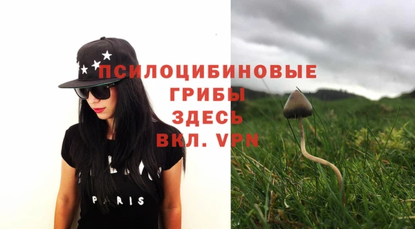 амфетамин Белокуриха