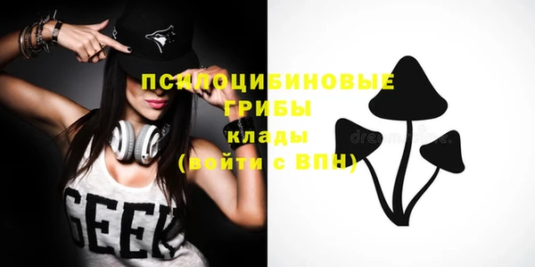 амфетамин Белокуриха