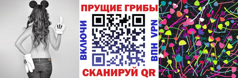 Галлюциногенные грибы прущие грибы  купить наркотики сайты  Салаир 